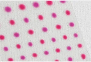 Macro shot of 5D gradient nail art stickers with translucent pink circular dot pattern
