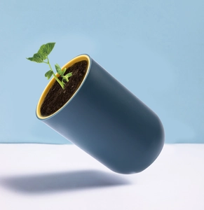 Minimalist capsule shaped plant pot in navy blue and yellow with a small green plant