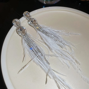 Detail of silver needle earrings featuring crystal teardrops and white feather tassels
