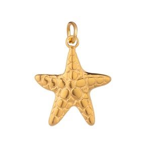 Macro detail of a gold starfish pendant with textured metallic surface on white background