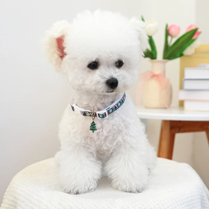 Close-up of a Christmas pet collar with a green tree pendant on a small white dog