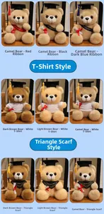 Close-up of graduation teddy bears with gowns and hats in various colors and styles