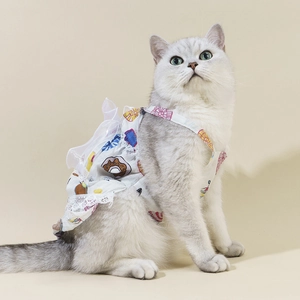 Close-up of a silver cat wearing a floral pet dress with lace trim and cartoon prints