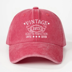 Detail view of washed cotton fabric and Vintage 1973 embroidery on the baseball cap