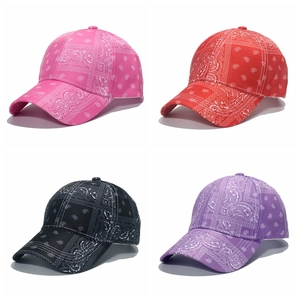 Paisley Pattern Baseball Cap Polyester Adjustable Curved Brim Hip Hop Streetwear Sunshade Hat For Men Women
