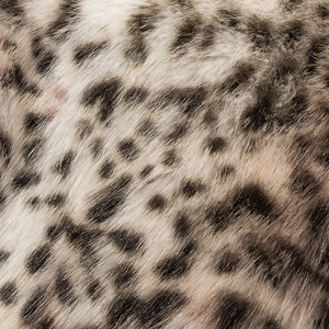 Macro shot showing fine texture and leopard print pattern of the faux fur jacket fabric