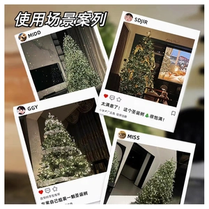 Detailed view of warm white LED string lights decorating a dense green Christmas tree
