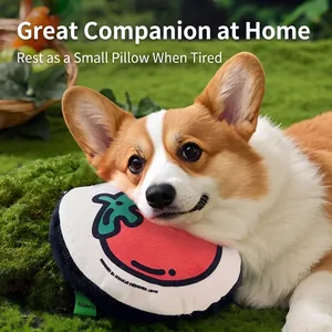Plush tomato pet toy and pillow for dogs, soft plush red tomato with realistic design