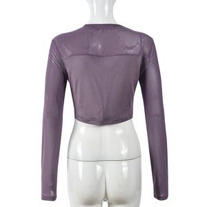 Vista posteriore di un crop top viola a maniche lunghe in mesh con stampa vintage