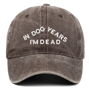 Détail du texte brodé 'IN DOG YEARS I'M DEAD' sur casquette en coton délavé