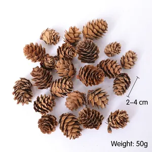 Natural dried pine cones for Christmas DIY decor, 50g pack with 2-4cm size
