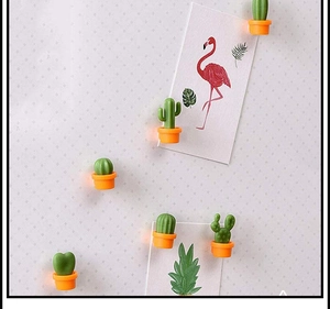 Detailed close-up of 3D cactus fridge magnets in green and orange potted designs