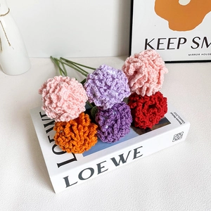Handmade knitted carnation bouquet with colorful crochet flowers for Mother's Day gifts
