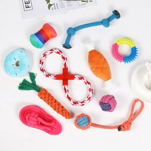 Flat lay of diverse pet toy set featuring cotton rope carrots and rubber chew rings on white