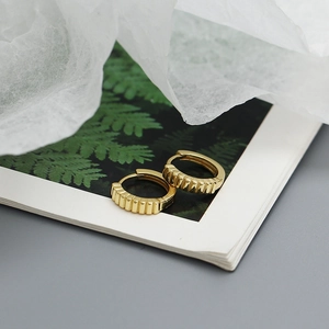 Detailed shot of golden striped hoop earrings on a decorative botanical card