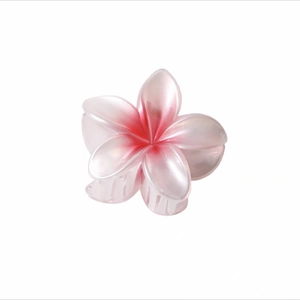 Detail of pink and white gradient resin frangipani flower hair claw clip on white background