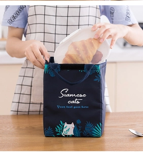 Detail showing high-capacity insulated lunch bag with blue cat print and side storage
