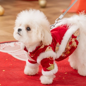 Costume Tang chinois rouge pour petit chien avec broderies dorées et bordure en fausse fourrure