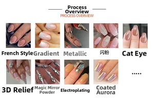 Detailed grid showing French leopard, 3D relief, and metallic chrome nail art finishes
