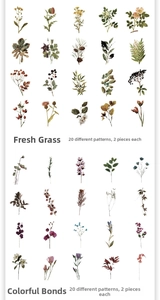 Detail of vintage botanical and floral PET stickers for scrapbooking with 20 unique designs