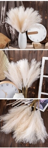 Detailed view of fluffy artificial pampas grass in cream white for interior home decoration