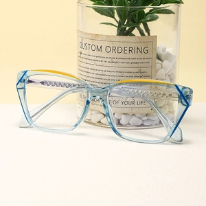 Fashion Cat Eye Anti Blue Light Glasses PC Frame Metal Core Temples Retro Large Eyewear For Men Women