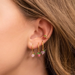 5-piece colorful zircon fruit earrings set with gold strawberry and cherry charms