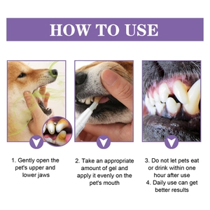 Guida passo-passo per l'applicazione del gel per la pulizia dei denti di cani e gatti