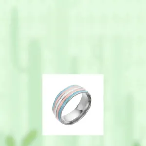 Minimalist silver titanium steel ring with pink white and blue striped inlay