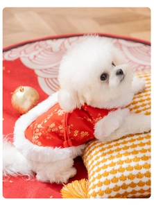Close-up of traditional red pet vest with floral embroidery and white faux fur trim