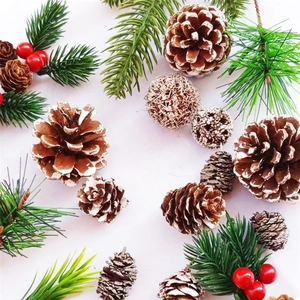 Christmas set with pine cones, red berries and green pine needles on white backdrop