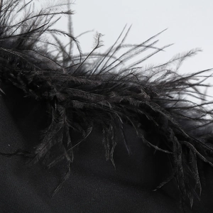 Vue macro des plumes d'autruche noires et du tissu fin sur la robe de soirée bustier