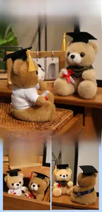 Detail of graduation teddy bear with black doctoral cap and miniature diploma scroll