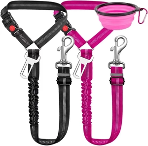 Détail de ceintures de sécurité en nylon pour chien avec élastique et bol en silicone rose