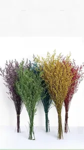 Macro shot of colorful dried Limonium flowers in purple, green, blue, yellow and red