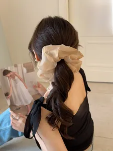 Elegante elastico in organza champagne indossato su coda di cavallo con trama in rete