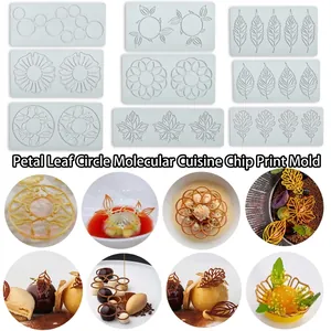 Silicone Cake Decoration Mold Fondant Lace Mat Molecular Gastronomy Crisp Printing Pad Leaf Petal Geometric Shapes Baking