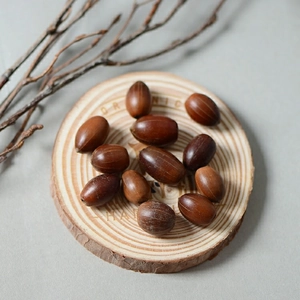 Natural dried acorns with caps on a circular wood slice with a rustic neutral background