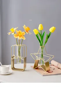 Creative gold iron test tube vase set with star and rectangle frames and glass inserts