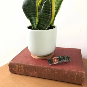 Miniature vintage book hair clip on a classic red book next to a snake plant