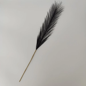 Detailed close-up of 55cm black artificial pampas grass with fluffy boho style texture