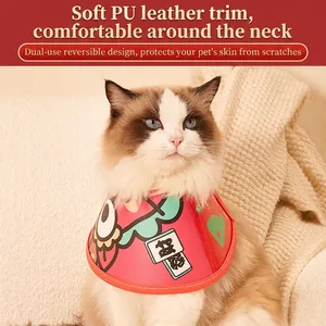 Soft PU Dragon-themed cat cone collar with festive patterns on a Ragdoll cat