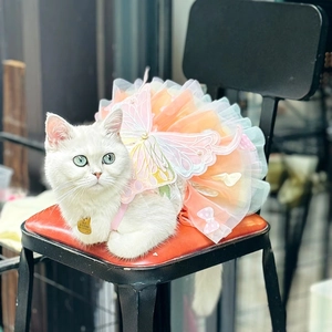 Detail of pet tutu skirt featuring pink orange blue gradient mesh and butterfly back decoration