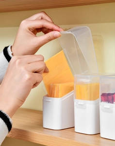 Detail of white plastic cheese storage box with clear flip lid for fridge organization