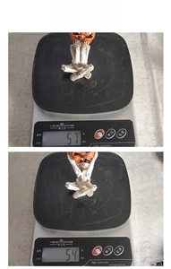 Detail showing two resin pumpkin head skeleton figurines being weighed for specifications