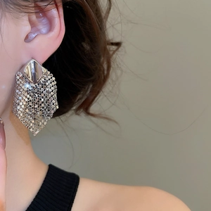 Detailed view of silver mesh tassel earrings worn by a model on a soft background
