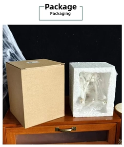 Detail of Halloween skull ornaments in secure cardboard box with protective foam