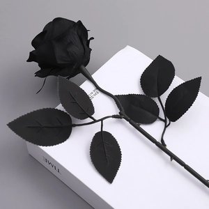 Macro view of realistic black gothic rose stem with detailed petals on grey backdrop