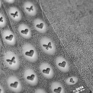 Macro detail of adhesive nail stickers with butterfly and heart patterns style TO-2214