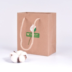 Vintage brown kraft paper gift bag with hemp rope handles and decorative green label